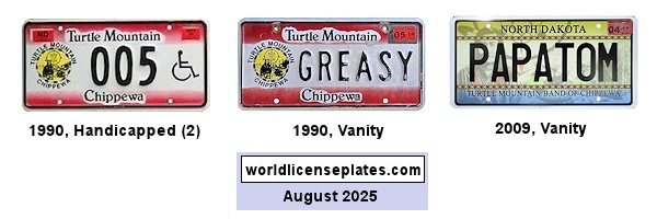 Non-Passenger/Other license plates