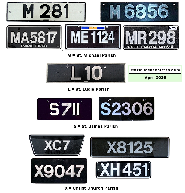 Private/Passenger license plates
