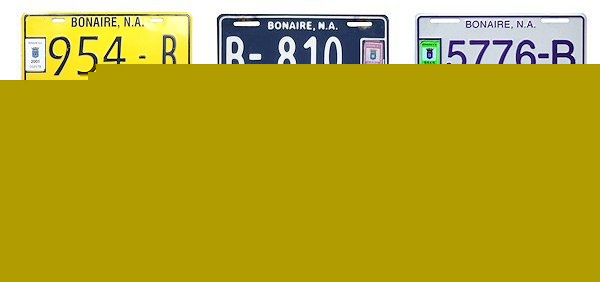 Private/Passenger license plates