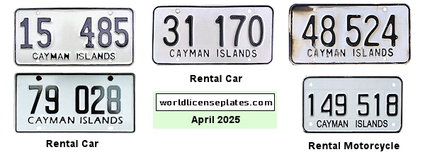 Rental Vehicle license plates