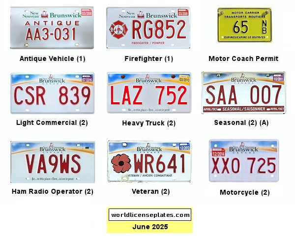 Non-Passenger/Other license plates