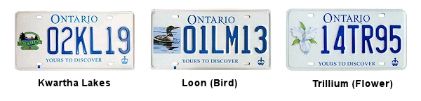Special Interest license plates