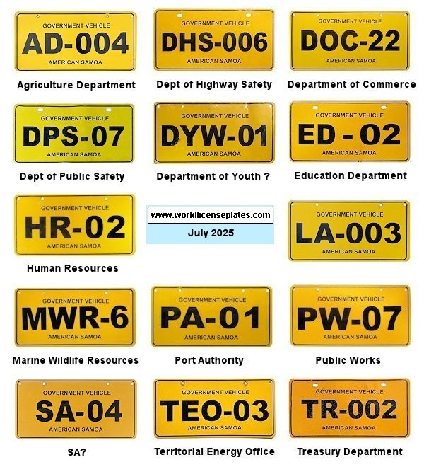 Government (2020 Series) license plates