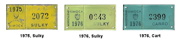 Non-Passenger/Other license plates