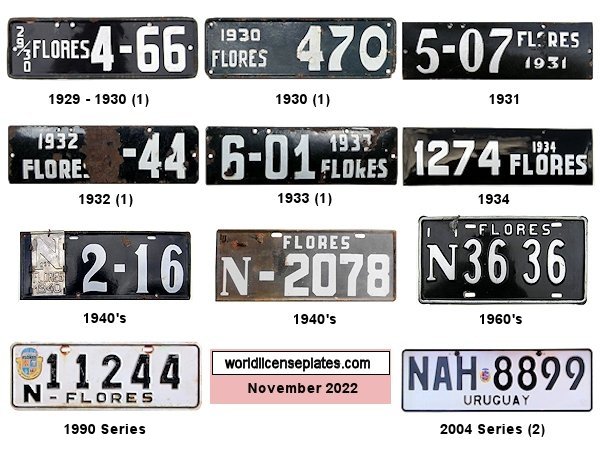 Private/Passenger license plates
