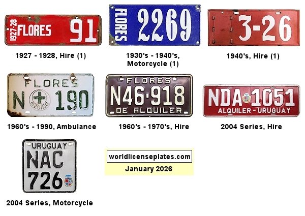 Non-Passenger/Other license plates