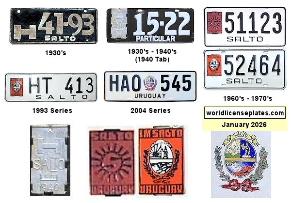 Private/Passenger license plates