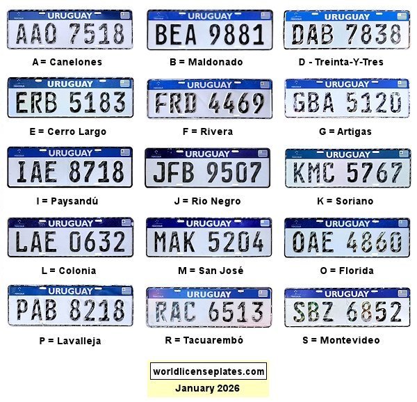 Private/Passenger license plates