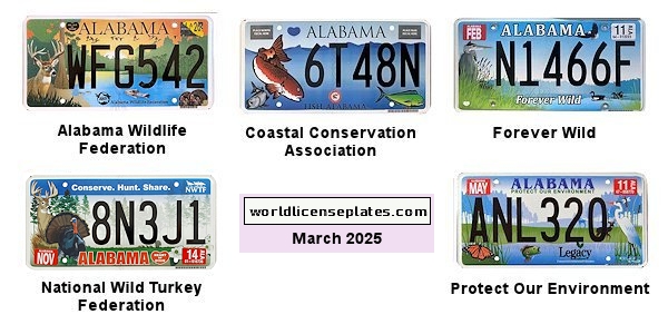 Special Interest license plates