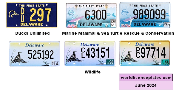 Special Interest license plates