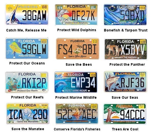 Special Interest license plates