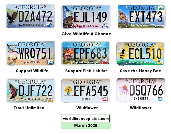 Special Interest license plates