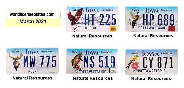 Special Interest license plates