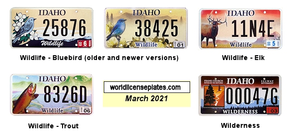 Special Interest license plates