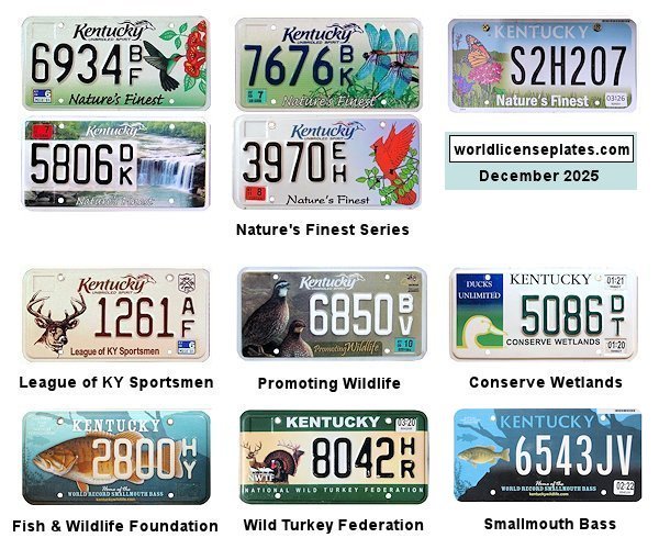 Special Interest license plates