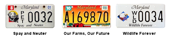 Special Interest license plates