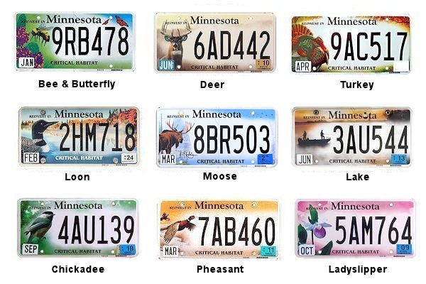 Special Interest license plates