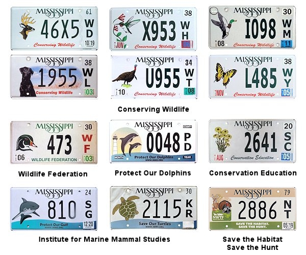 Special Interest license plates