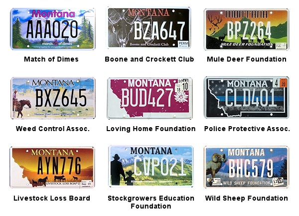 Special Interest license plates