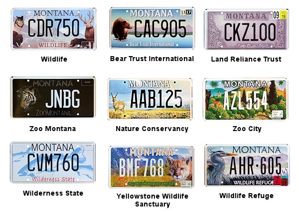 Special Interest license plates