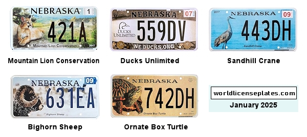 Special Interest license plates