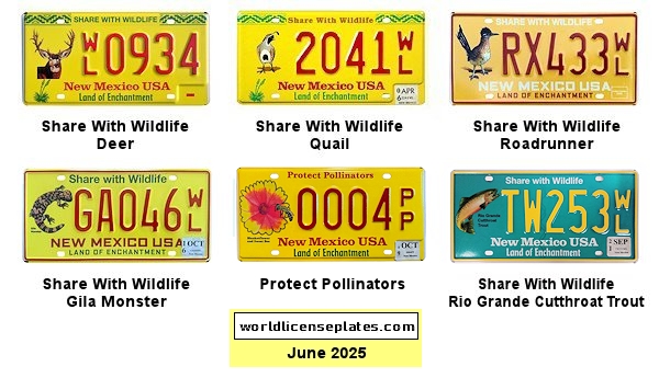 Special Interest license plates