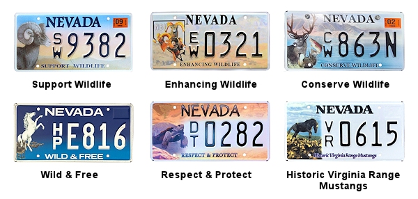 Special Interest license plates