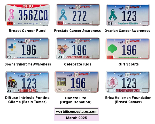 Special Interest license plates