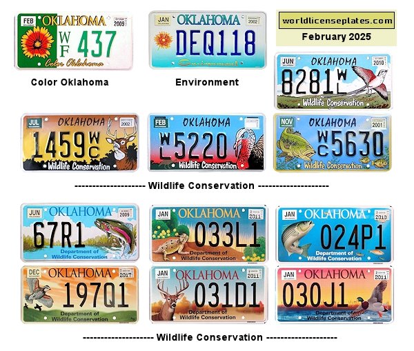 Special Interest license plates