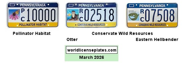 Special Interest license plates