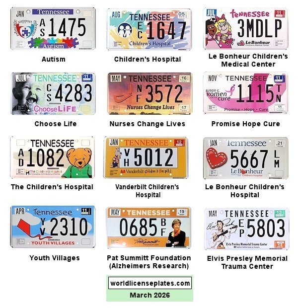 Special Interest license plates