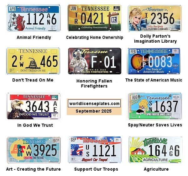 Special Interest license plates