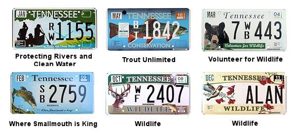 Special Interest license plates