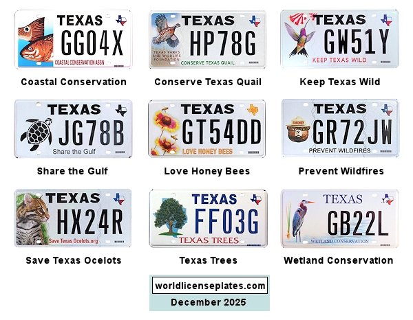 Special Interest license plates