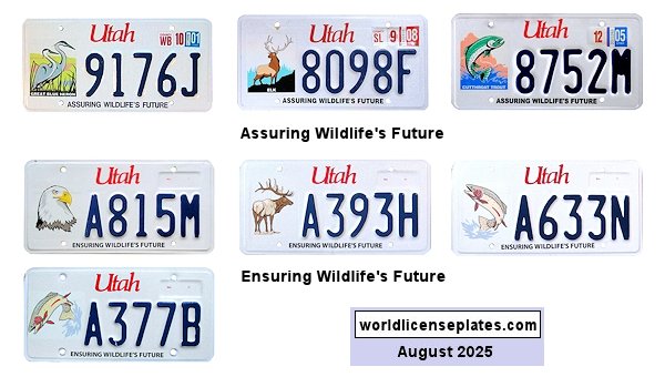 Special Interest license plates