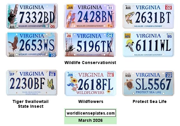 Special Interest license plates