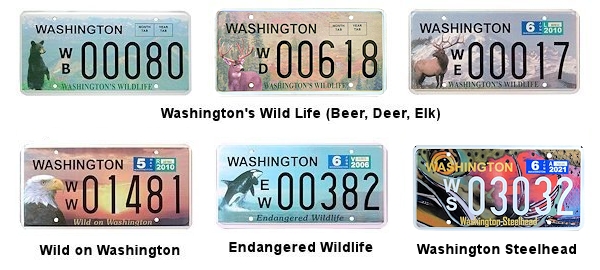 Special Interest license plates