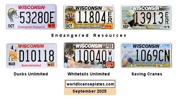 Special Interest license plates