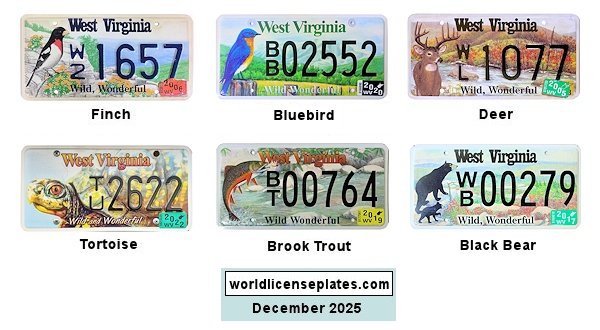 Special Interest license plates