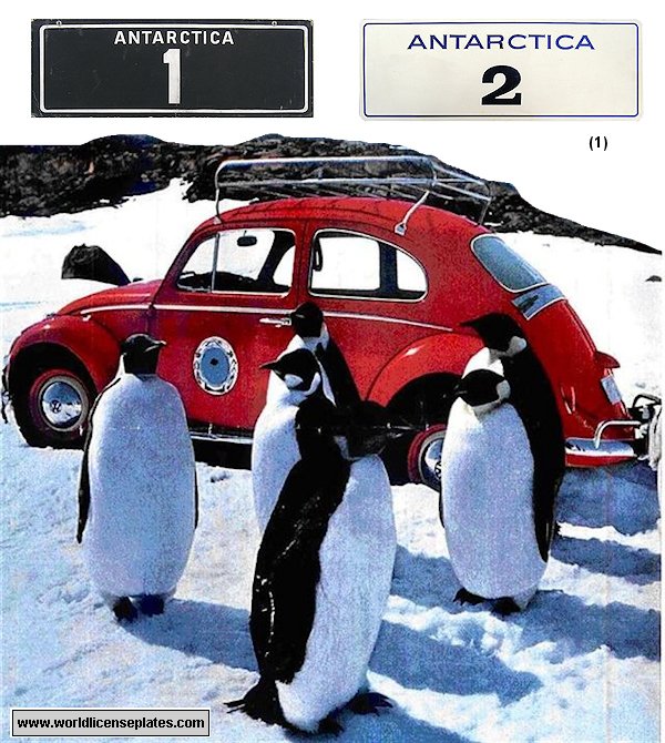 "Red Terror" Beetle license plates